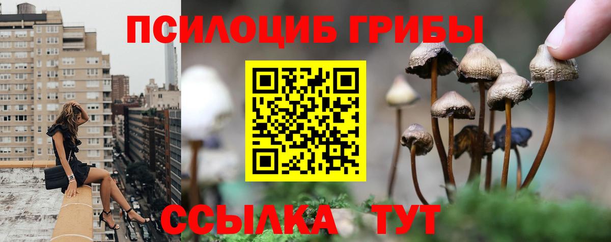 Псилоцибиновые грибы мухоморы Ухта
